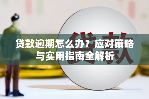 鼓山贷款逾期怎么办？应对策略与实用指南全解析