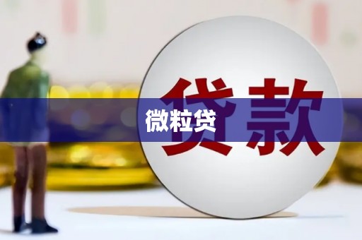 鼓山微粒贷