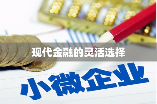 鼓山现代金融的灵活选择
