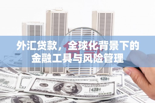 鼓山外汇贷款，全球化背景下的金融工具与风险管理