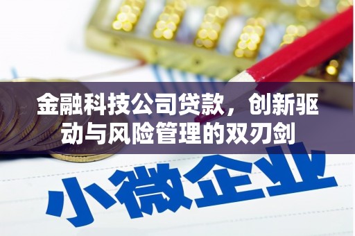 鼓山金融科技公司贷款，创新驱动与风险管理的双刃剑